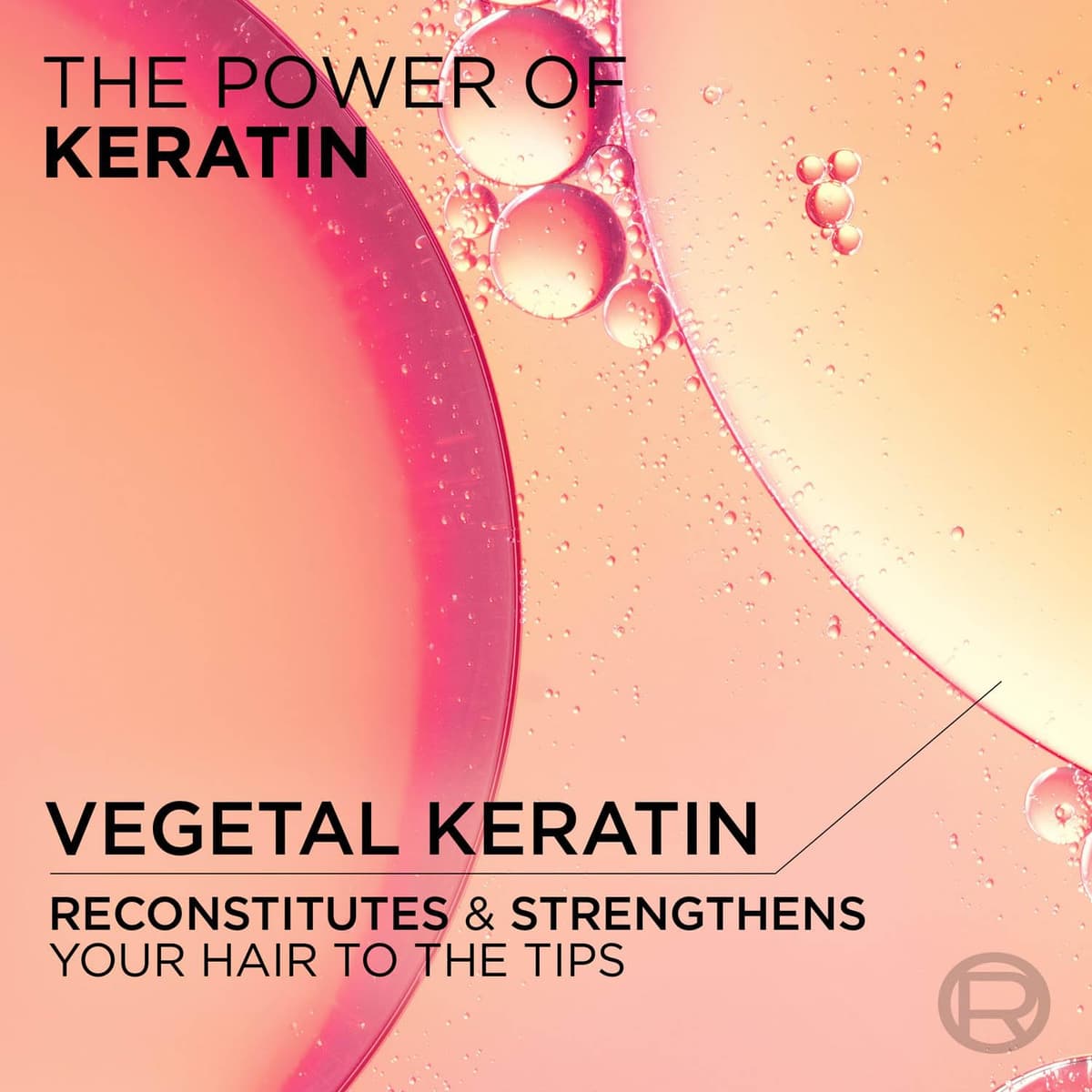Loreal Dream Lengths Restoring Shampoo (Indian Variant)