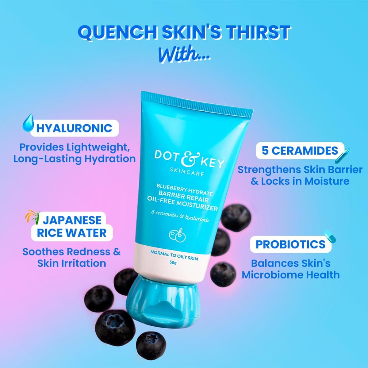 Dot & Key Blueberry Hydrate Barrier Repair Oil Free Moisturizer (Normal to Oily Skin)