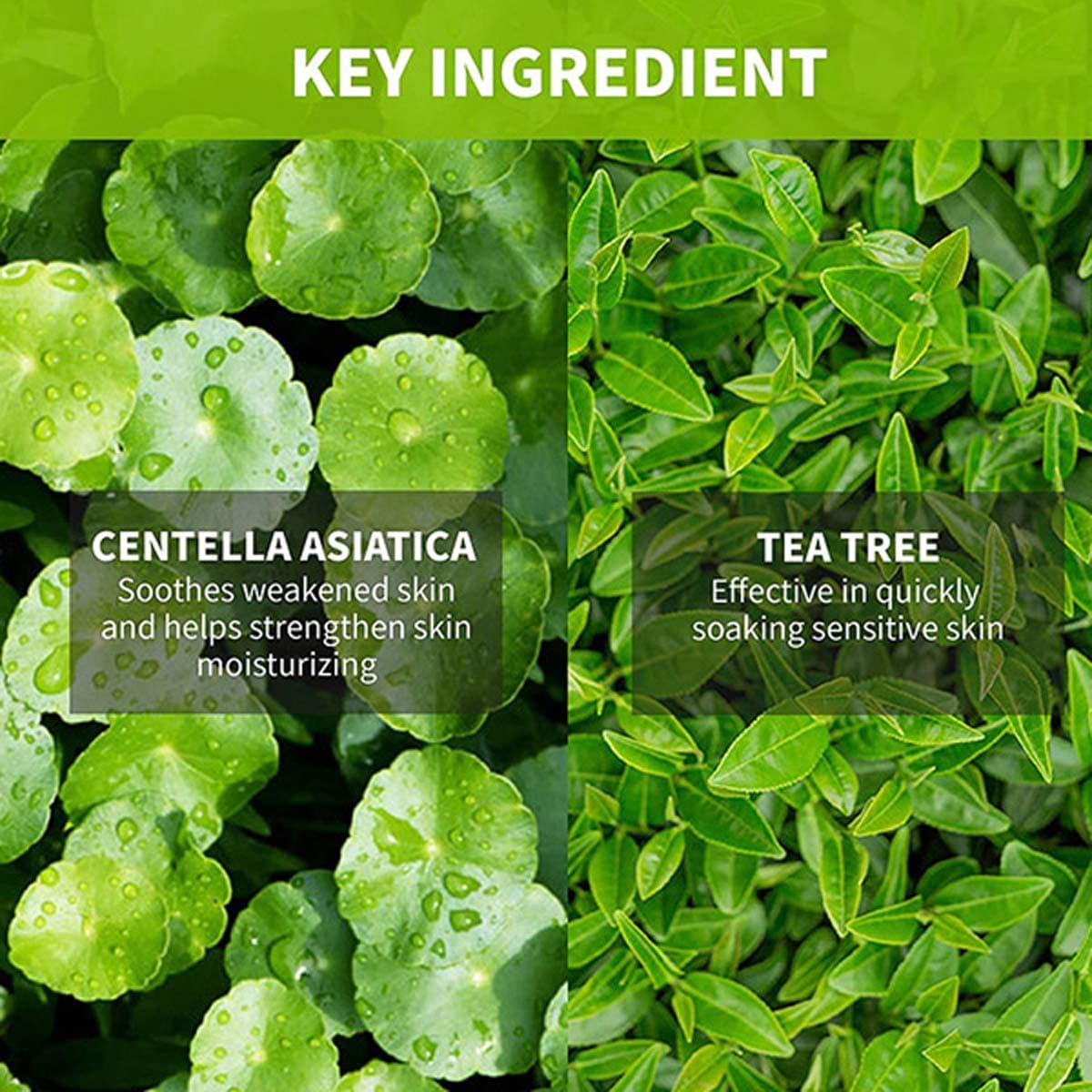 iUNIK CENTELLA MINI SET