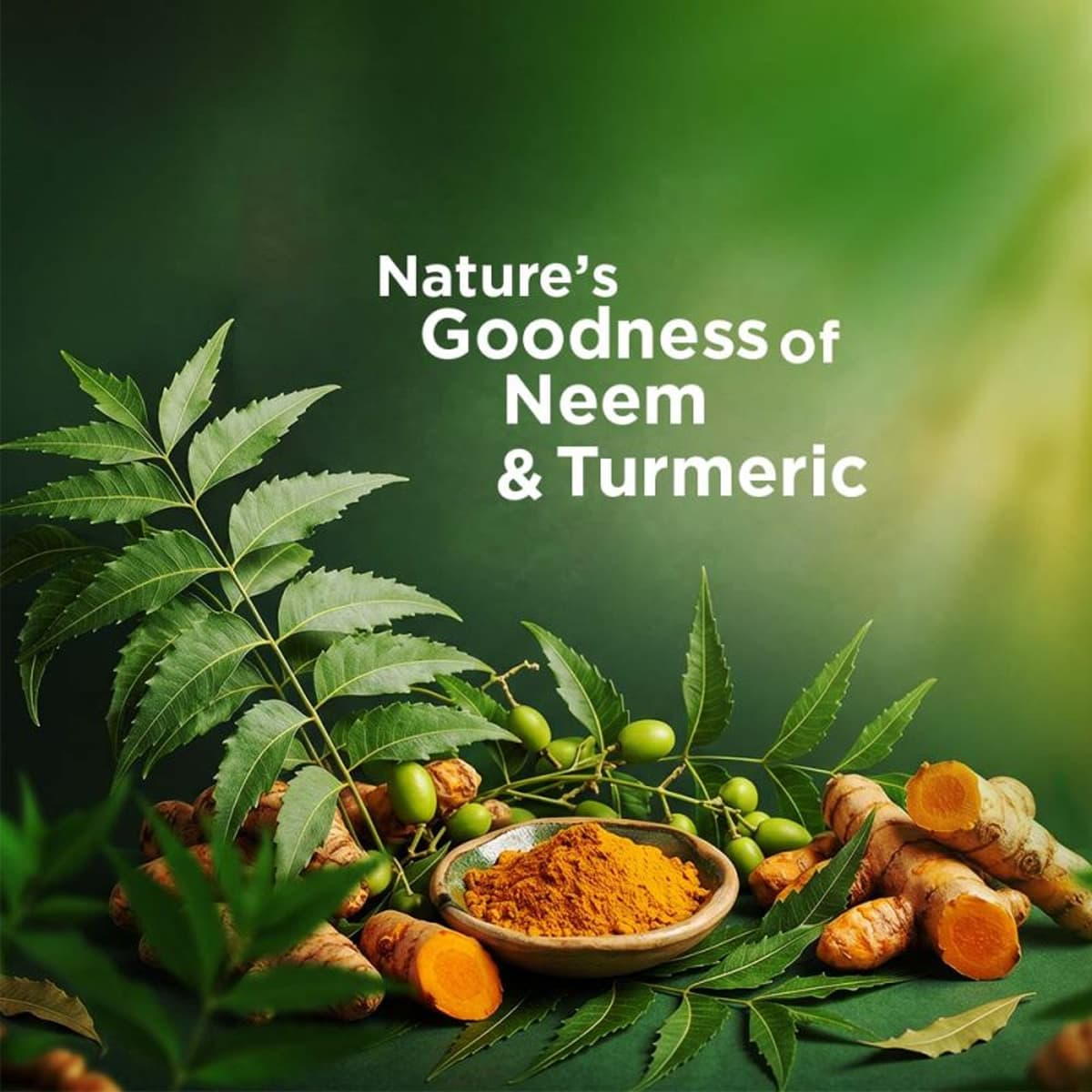 Lily Neem facewash