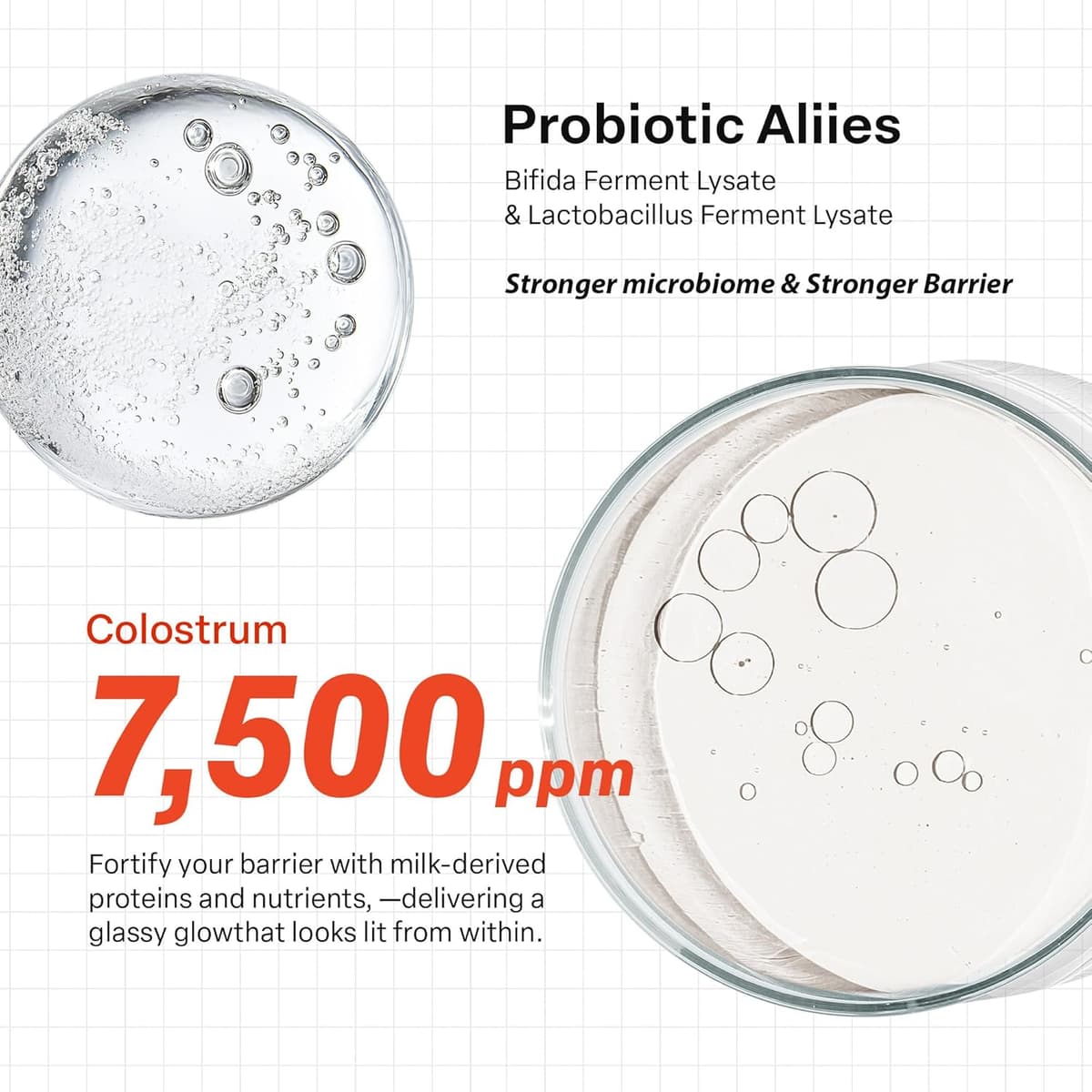 Purcell 24/7 Colostrum Pore Defence Ampoule