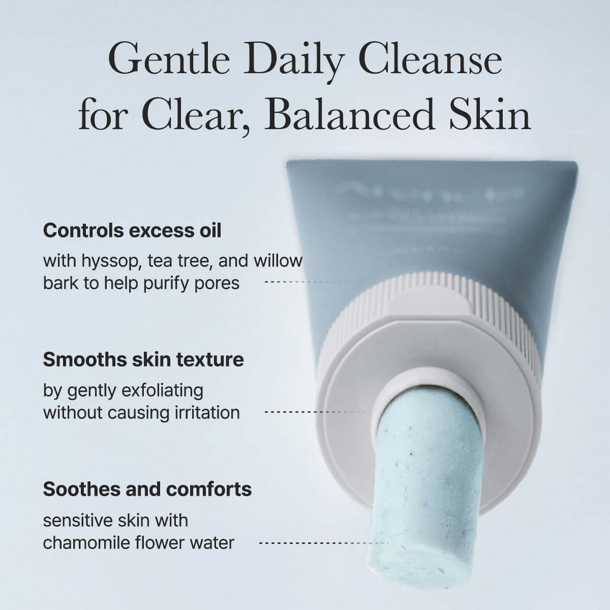 Arencia Hyssop Sebum Control Rice Cake Cleanser