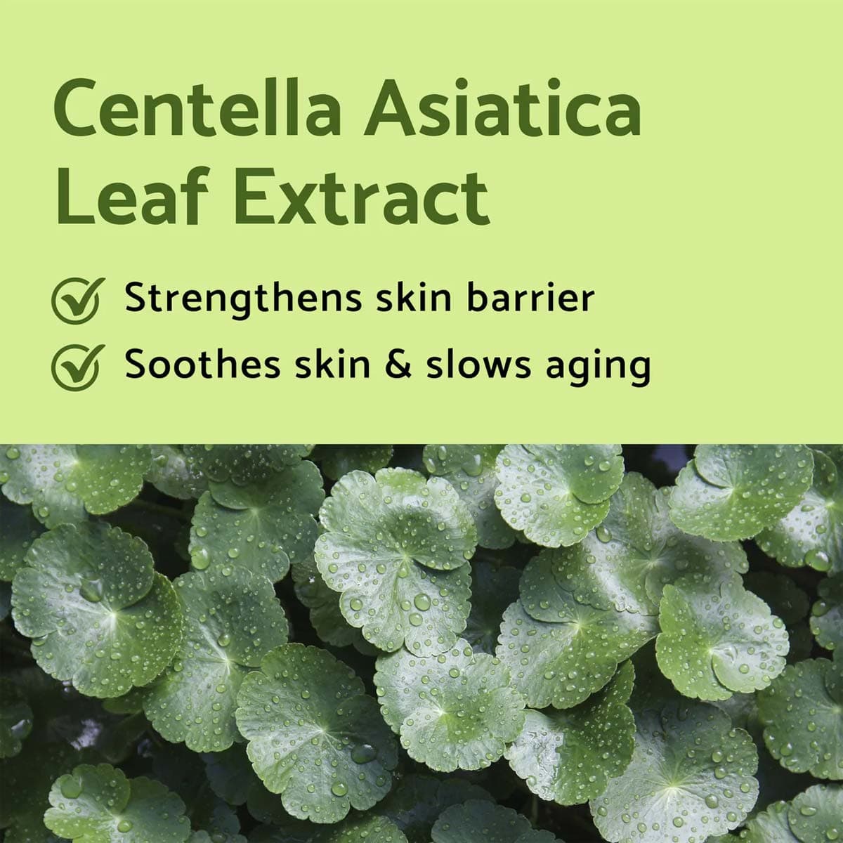 iUNIK CENTELLA MINI SET