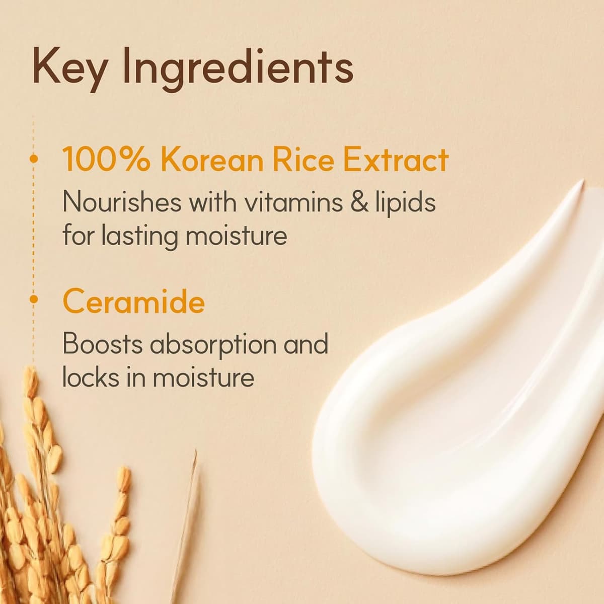 The Face Shop Rice Ceramide Moisturizing Cream
