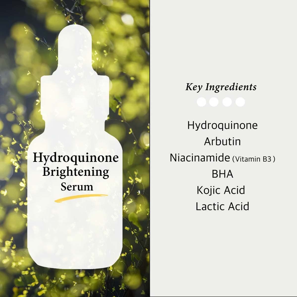 Cos De Baha 2% Hydroquinone + Arbutin + Niacinamide 4% Serum (HB)