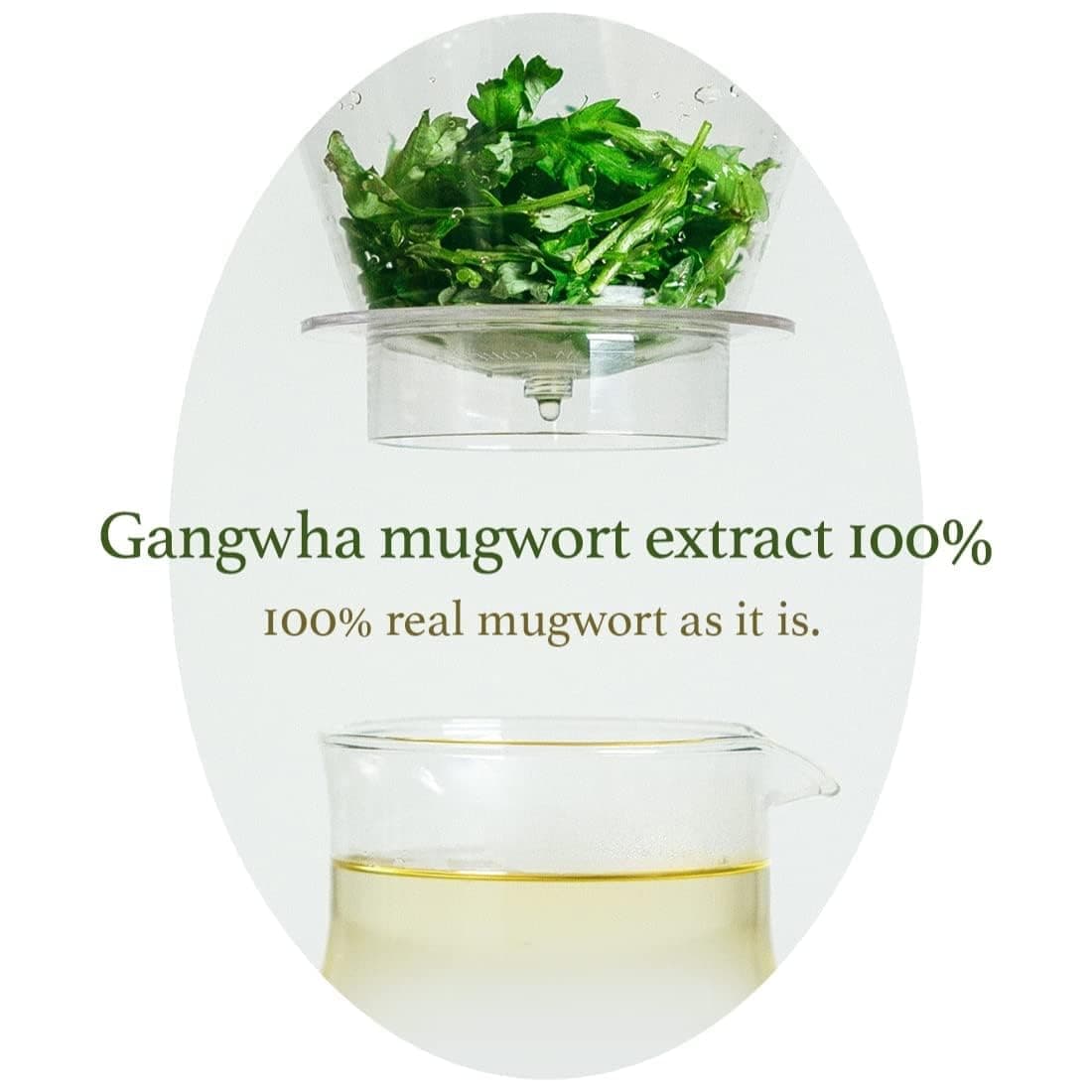 I'm From Mugwort Essence