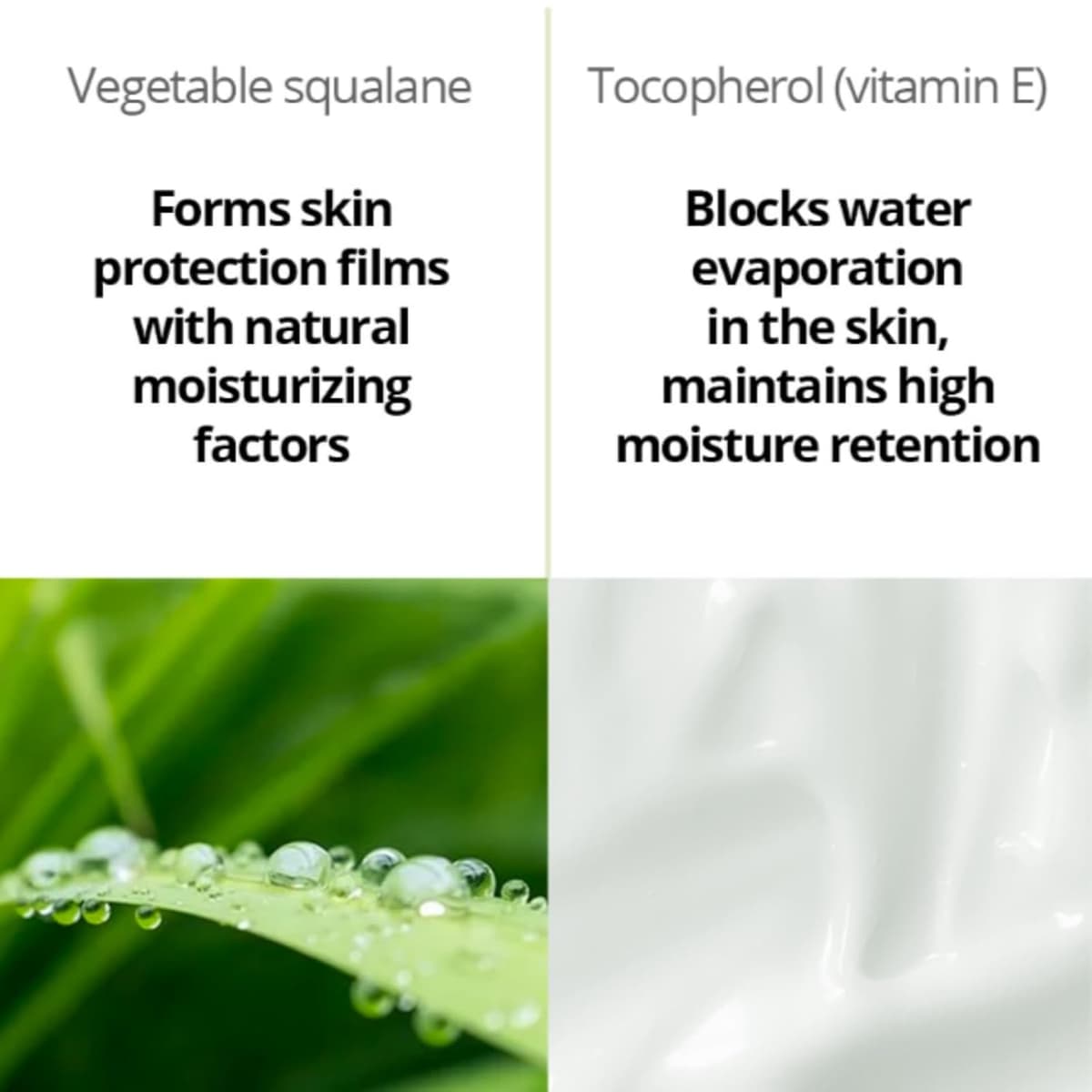 Bonajour Green Multi Vitamin Vital Nutrition Cream
