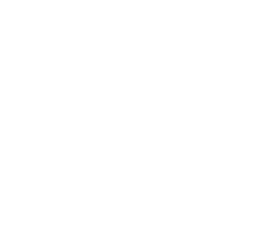 Face Skin