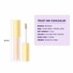 Ireneda Trust Me Concealer F01