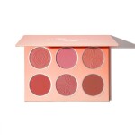 Sheglam Floral Flush Blush Palette