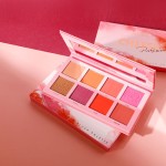 Imagic Cheese Contour & Blush Palette