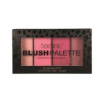 Technic Cool Edit blush palette