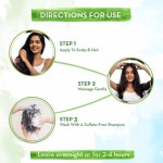Mama Earth Onion Hair Oil for Hair Regrowth and Hair Fall Control EXP. AUG/2023